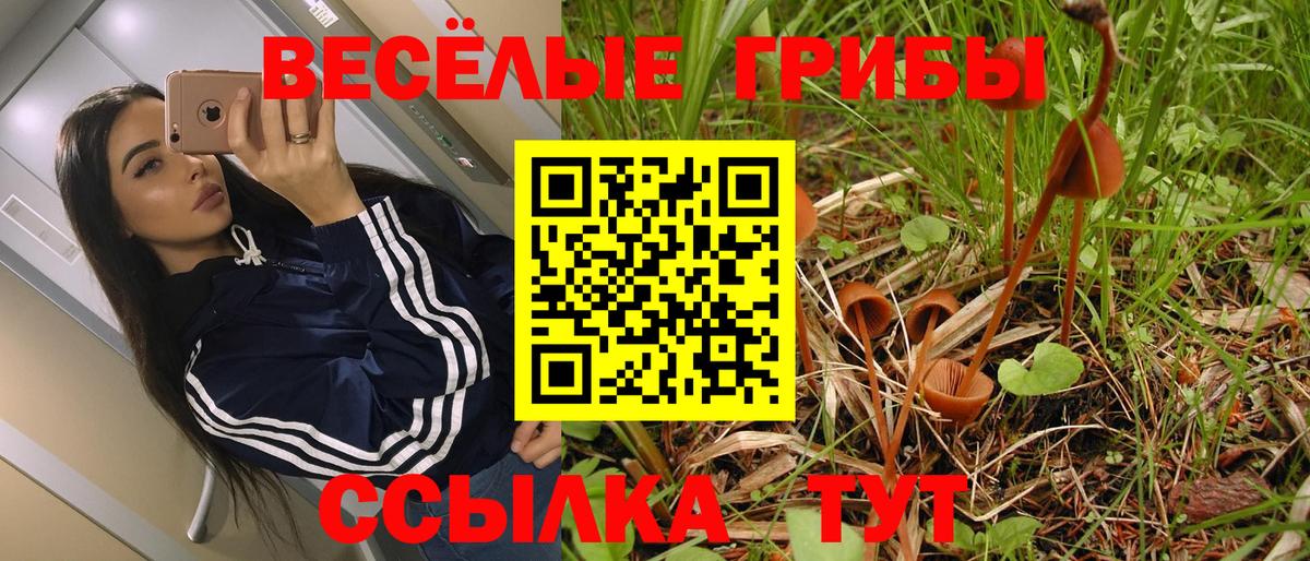 Псилоцибиновые грибы MAGIC MUSHROOMS Снежинск